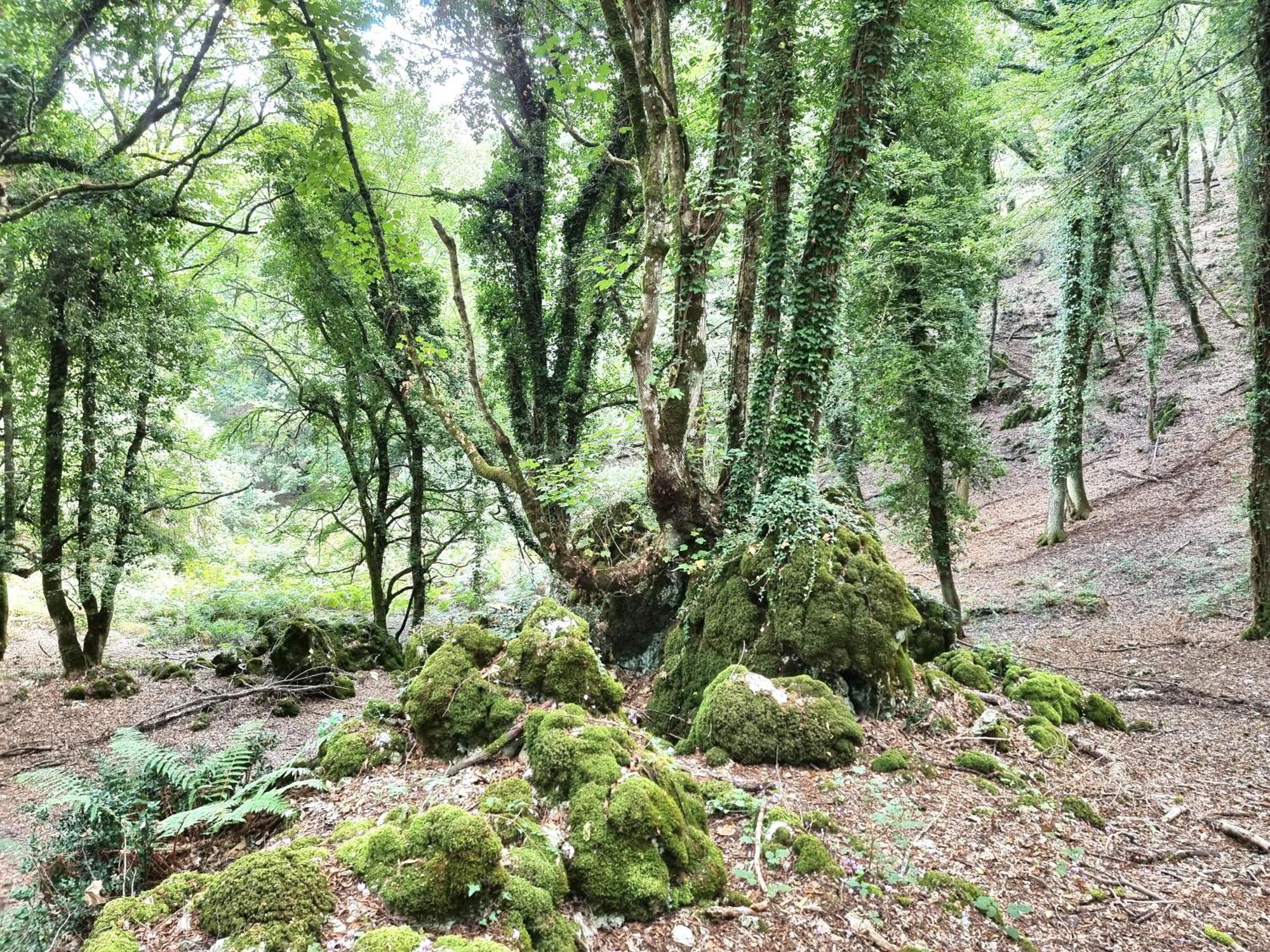 Suites Dimora Garibaldi Peschici Kültér fotó